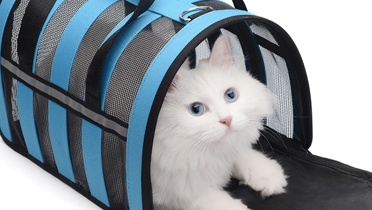 pet bag Pet bag factory